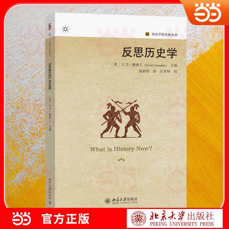 【可开票全新正版】反思历史学 历史学的实践丛书 历史学发展 历史研究方法与思考维度北京大学出版社9787301374528大卫康纳丁 主