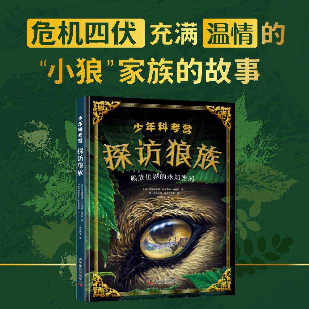 【可开票全新正版】少年科考营 探访狼族 在狼类研究专家的陪伴下踏上野外科考之旅 培养孩子的同理心逻辑思考力与文字表达力 超大
