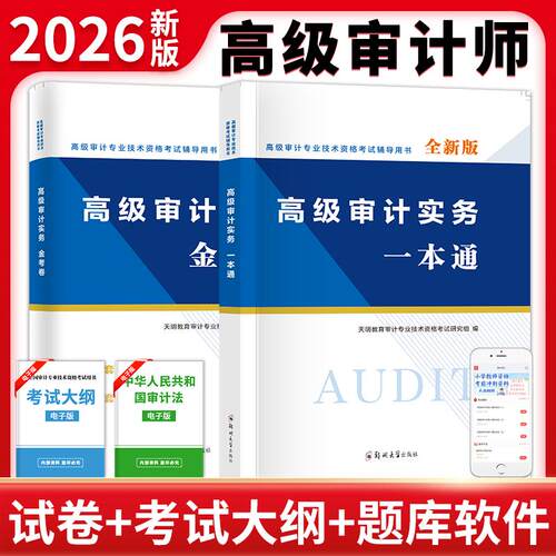 【可开票全新正版】全新版高级审计专业技术资格考试辅导用书-高级审计实务一本通+金考卷（全两册）2025-10-01天明教育审计专业技