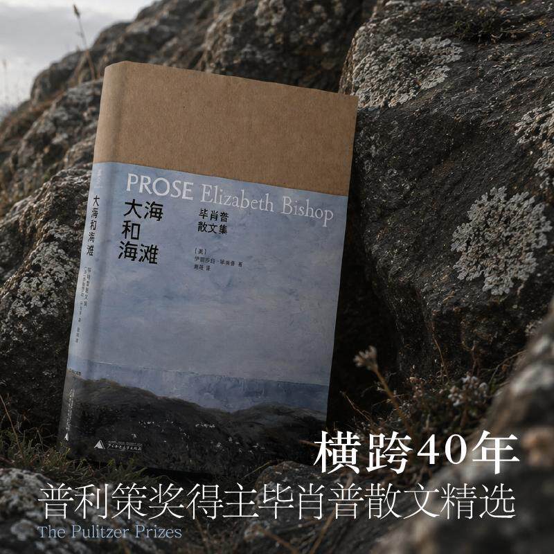 【可开票全新正版】文学纪念碑大海和海滩毕肖普散文集 诗人如何写散文成为“诗人中的诗人”之前她只是长久地观看世界广西师范大