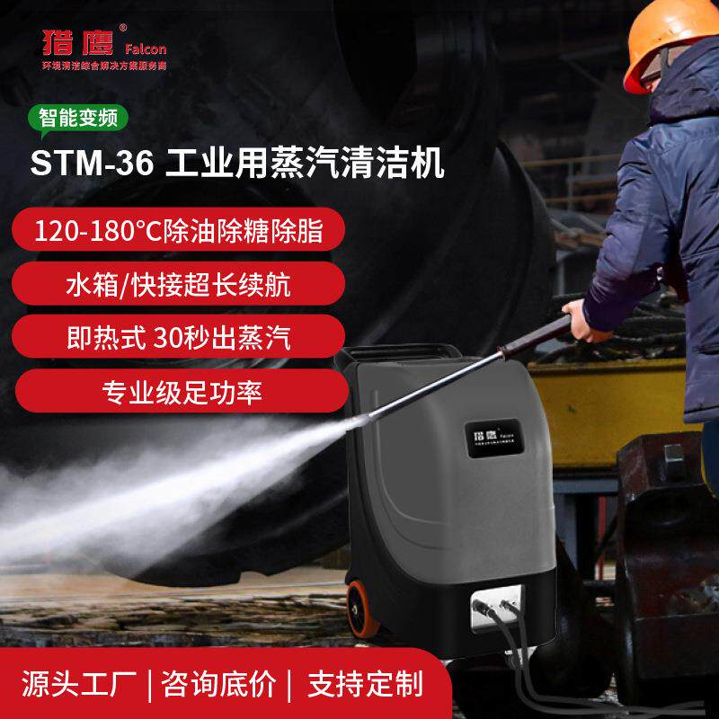 STM-36瞬时电加热蒸汽清洗机全自动油污清理大功率工业制造
