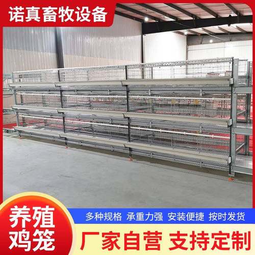 小层叠自动化蛋鸡笼清粪系统自动料线热镀锌养殖设备厂家
