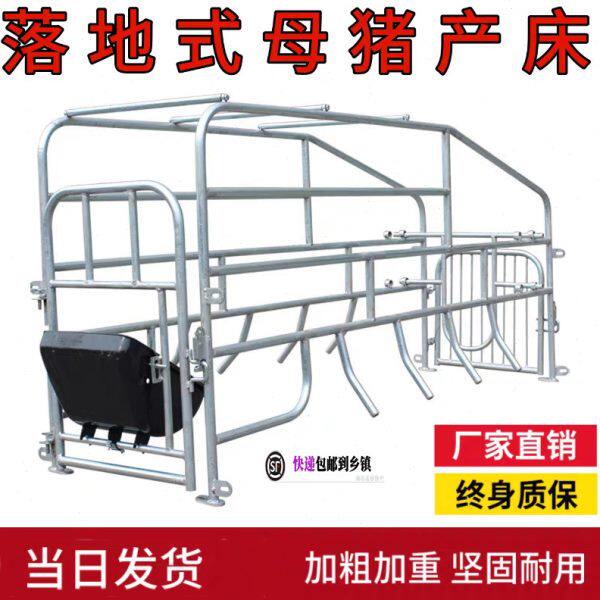 母猪产床 落地位产保两用养殖设保育栏定位栏产床猪笼猪栏猪产床