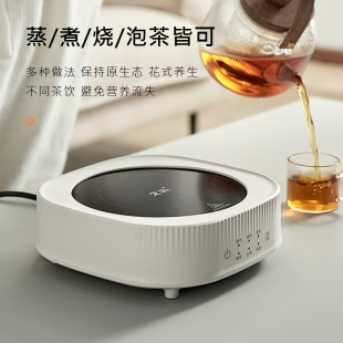 烧水m壶家用室内围炉煮茶烤泡茶炉泡茶功夫茶具罐 黑晶炉煮茶套装