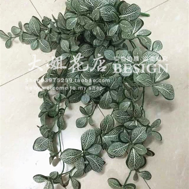 仿真网纹叶藤常春藤植物墙配材高档绿色植物壁挂仿真藤蔓叶子绿萝