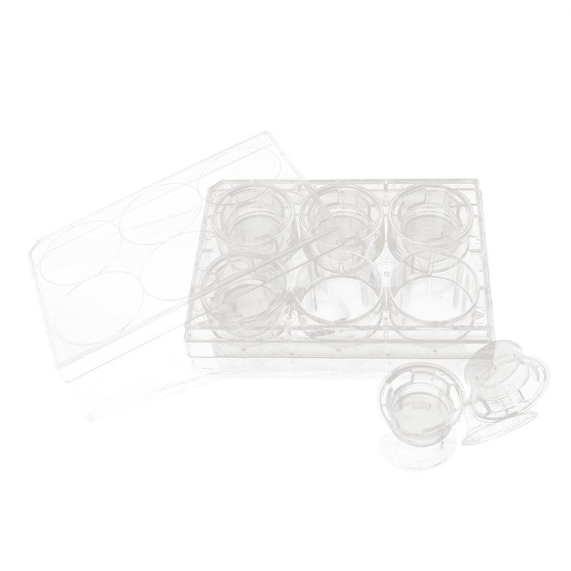 孔孔孔 膜细胞小室培养板 nwll,办公设备/耗材/相关服务,其它,淘宝优惠券,粉丝福利购,淘宝优惠卷