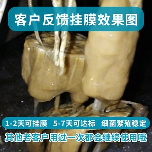 甘度厌氧菌种 污水处理厌氧池 微生物发酵菌种去总氮脱氮
