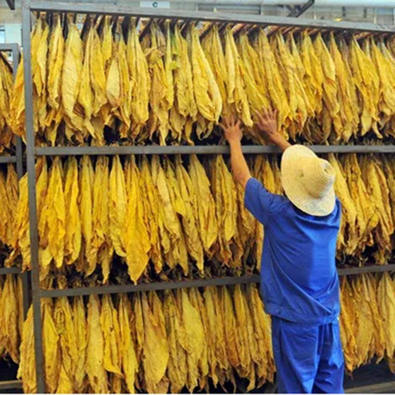 新能源空气源空气能热泵烟叶密集烤房烟草烘干房果蔬烘干干燥设备