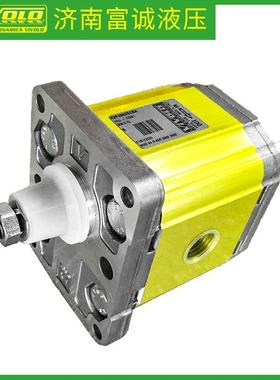 源头惠供意大利VIVOLO液压泵X2P4754ISRA原装正品高压齿轮泵