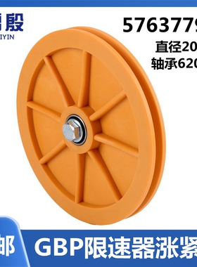 适用于迅达3300电梯配件GBP限速器涨紧轮涨紧装置直径200轴承6201