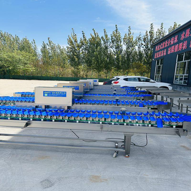 鸡翅鸡腿鸡翅根转盘式重量分选机自动选级机鸡爪琵琶腿分级设备