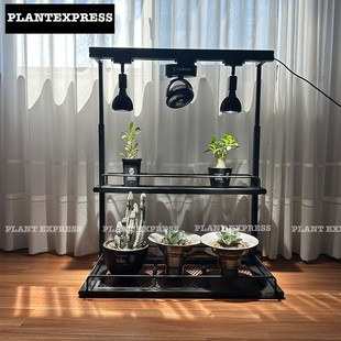 NBHD块根花架补光灯架双层日式桌面爬藤盆栽潮流摆件龟甲龙龙舌兰