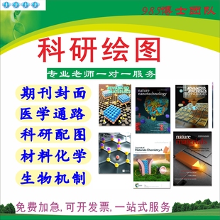 科研绘图代画TOC机制通路SCI期刊封面医学插画建模美化模型