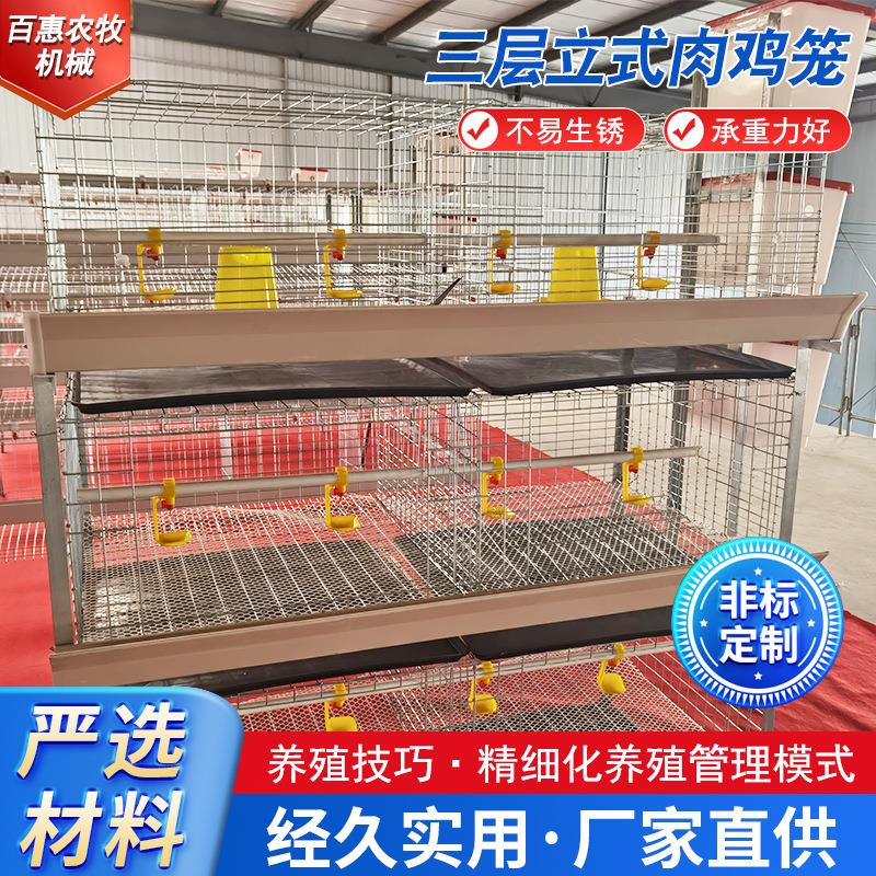 源头工厂三层立式肉鸡笼养殖养鸡设备肉鸡笼防锈肉鸡笼热镀锌鸡笼