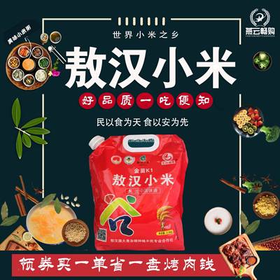 赤峰敖汉小米官方旗舰店金苗K1袋装米5斤熬粥养胃五谷杂粮米包邮