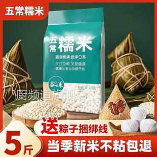 东北五常圆糯米新米包粽子专用农家白江米紫糯米酒血糯米饭旗舰店