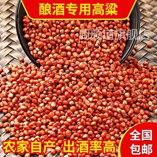 酿酒专用红高粱红缨子东北糯高粱农家自产酿醋食用鸽粮杂粮饲料