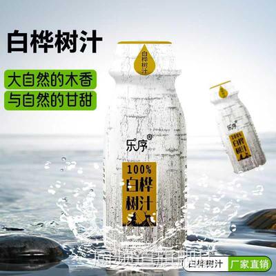 白桦树汁植物饮料10瓶木香浓郁夏日凉爽解渴饮品天然原液清爽甘甜