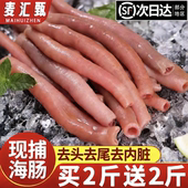 顺丰速运海肠新鲜活免处理沙虫速冻海捕大海肠皮海肠捞饭海鲜水产