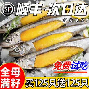 新鲜满籽多春鱼海鲜水产鲜活人吃超特大冷冻烧烤食材商用批发生鲜