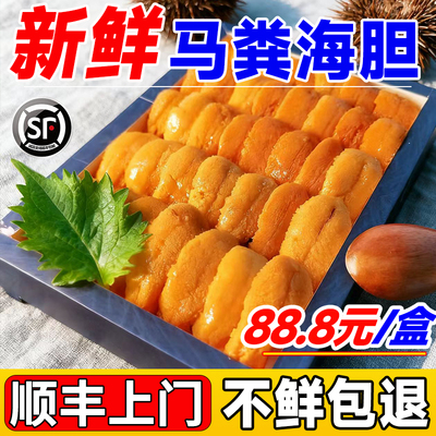 【刺身品质】正宗大连马粪海胆