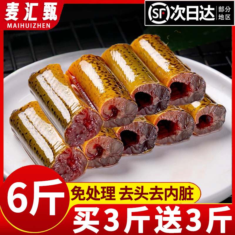 【免处理】纯中段现杀鳝鱼段