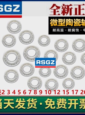 RSGZ氧化锆全陶瓷轴承内径20 25 30 35 40 45 50mm 6204 6205CE