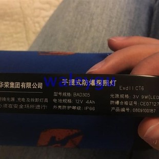 309F 充电器 BAD 双孔 防爆探照灯 319 GAD 309E 305D 照明 华荣