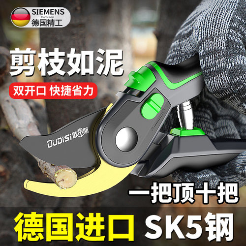 剪枝剪刀园艺剪树枝果树果枝修枝剪花剪园林花艺强力省力粗枝剪子