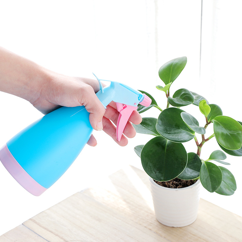 家用浇花小喷水壶浇水壶园艺花卉盆栽家用多肉浇水喷雾瓶酒精喷瓶