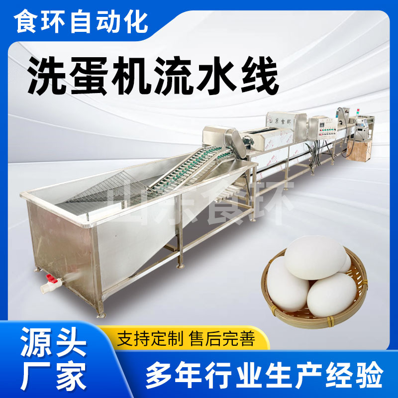 保洁蛋清洗去泥设备 自动皮蛋生产机器 鸡蛋喷油保鲜全自动洗蛋机