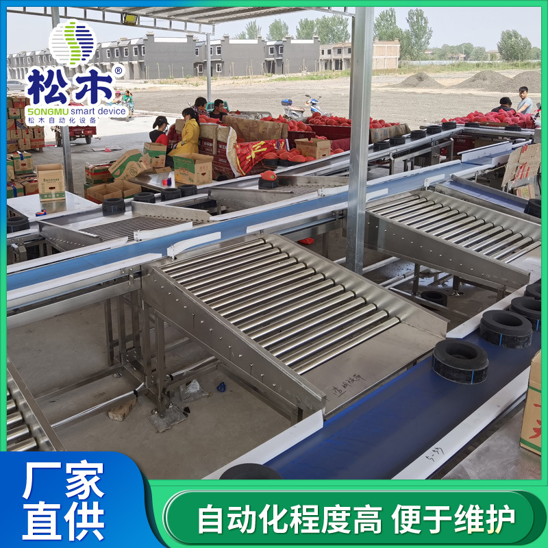 厂家定制西瓜哈密瓜重量分选机水果蔬菜自动分级流水线价格优惠