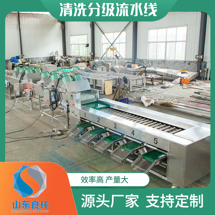 沃柑脐橙清洗烘干打蜡分级流水线 橙子清洗分级机 清洗分级流水线