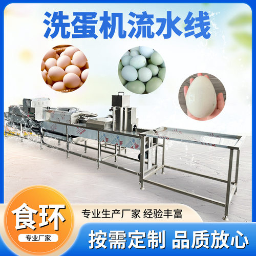 定制不锈钢鸡蛋清洗机 新型全自动蛋品清洗机 鸡蛋鸭蛋鹅蛋洗蛋机