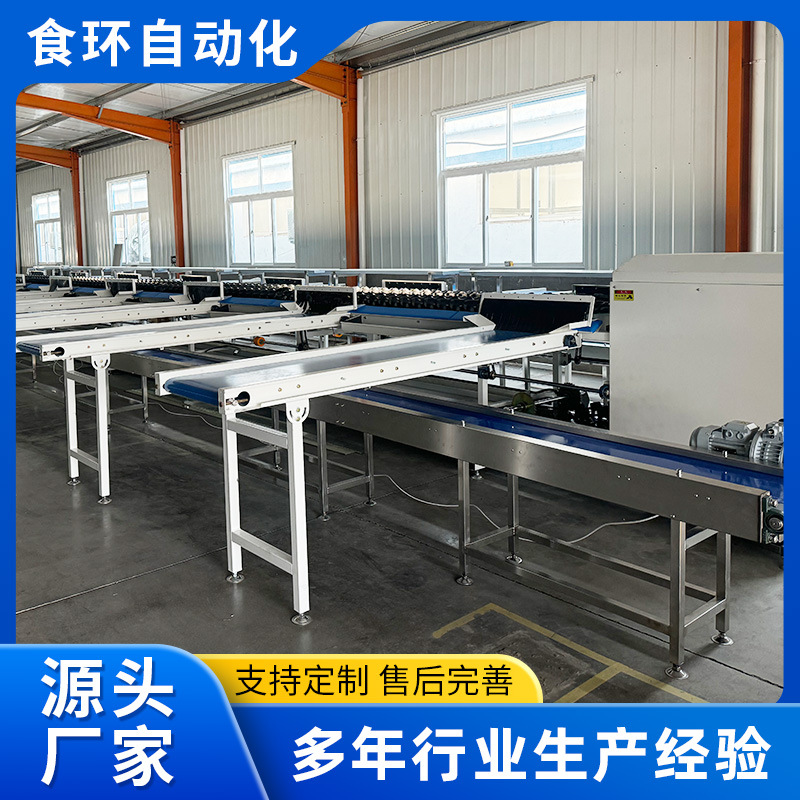 电脑智能检测选果机 猕猴桃百香果水蜜桃分级机 全自动电脑选果机