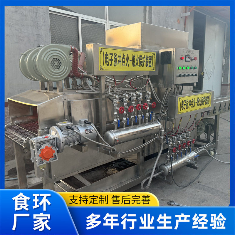 全自动猪蹄烧毛机 连续式猪蹄燎毛机 鸡腿鸡翅猪蹄液化气烧毛机,机械设备,消毒灭菌设备,淘宝优惠券,粉丝福利购,淘宝优惠卷