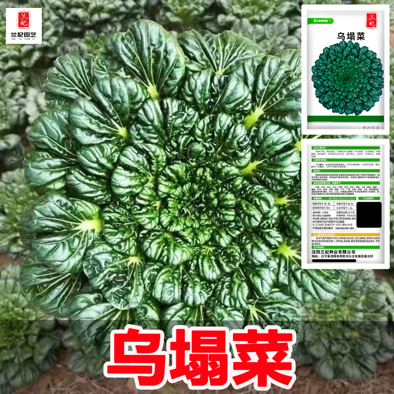 乌塌菜种孑小八叶春季黄心乌塌菜种籽子农家庭院青菜种籽四季大全