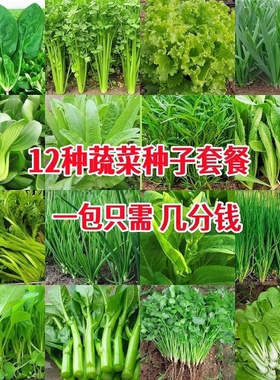 原装四季蔬菜种子大全菜种籽原装彩包育种香菜小葱白菜菠菜阳台