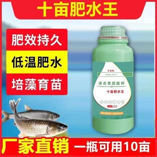 养诺康十亩肥水王低温肥水培藻培育轮虫浮游生物适用水产养殖使用