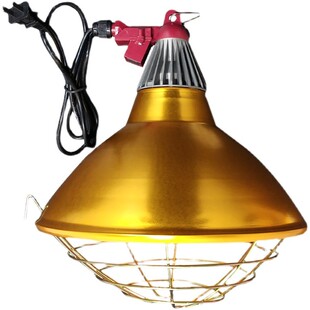 仔猪取暖灯泡灯罩调温度保温箱灯育雏鸡苗加热小鸡猪养殖带线罩