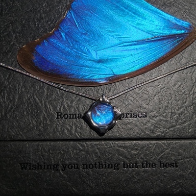 腾溪蝶语经典系列闪蝶创意镂空高品项链手工生日礼物