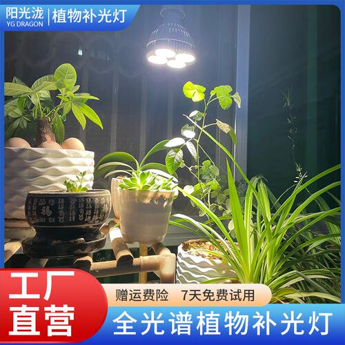 阳台太阳光模拟灯仿太阳全光谱灯室内养吊兰卉绿生长补光灯