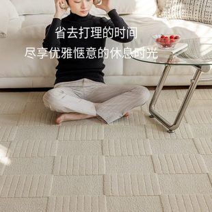 免洗可擦无胶抗菌法式 地毯客厅2024新款 高级轻奢加厚家用沙发地垫