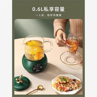 loo小浣熊养生壶家用小型迷你养生杯办公室煮茶器电炖杯
