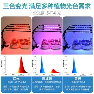仿太阳生长灯室内多肉补光灯全光谱光合作用ld微景观日照灯