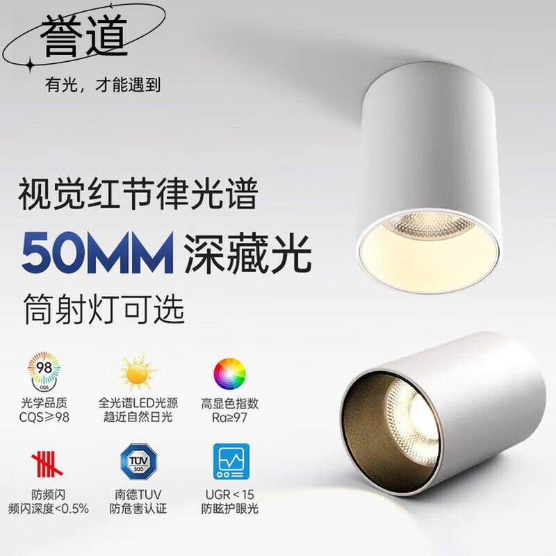 誉道明装射灯小山丘家用客厅过道圆形聚光全光谱护眼筒灯商用 护