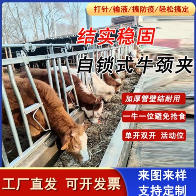 牛颈夹配件牛颈枷牛卧床羊颈夹配件牛场栏位开双开牛场设备