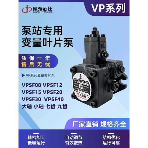 东莞JUNTAI俊泰液压叶片泵VP-SF-20-D油泵 30 40 15 08 VP-12-FA3