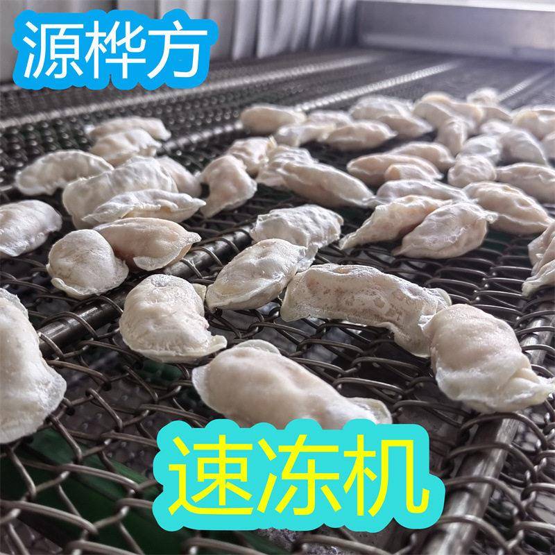 源桦方鱿鱼头速冻机香菇素包冷冻加工设备鱿鱼圈冷冻机
