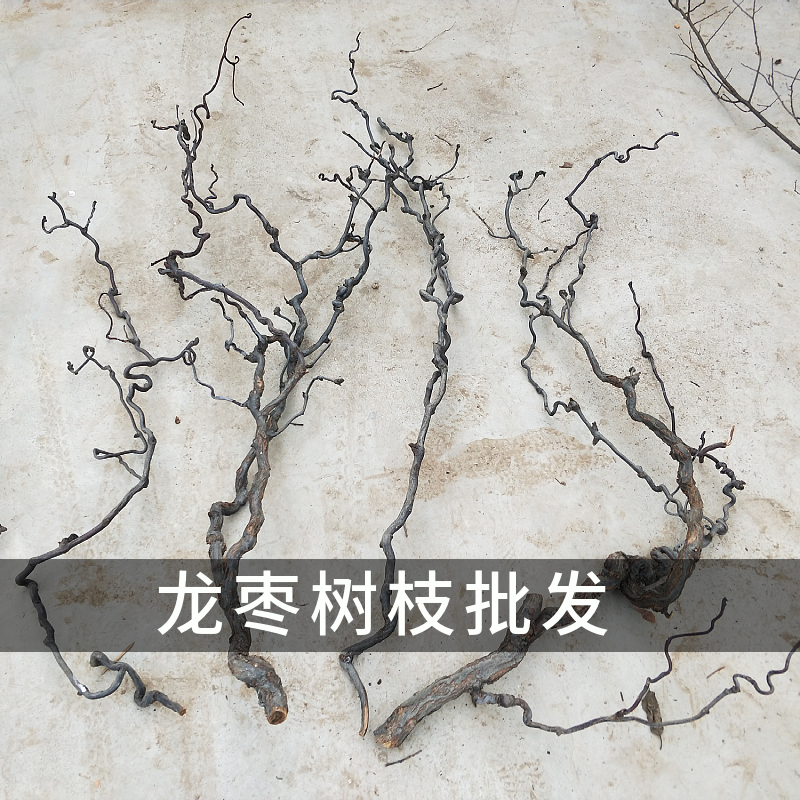 树枝装饰干枝壁挂天然多分叉龙枣树枝挂墙衣架手工原木枯树枝摆件